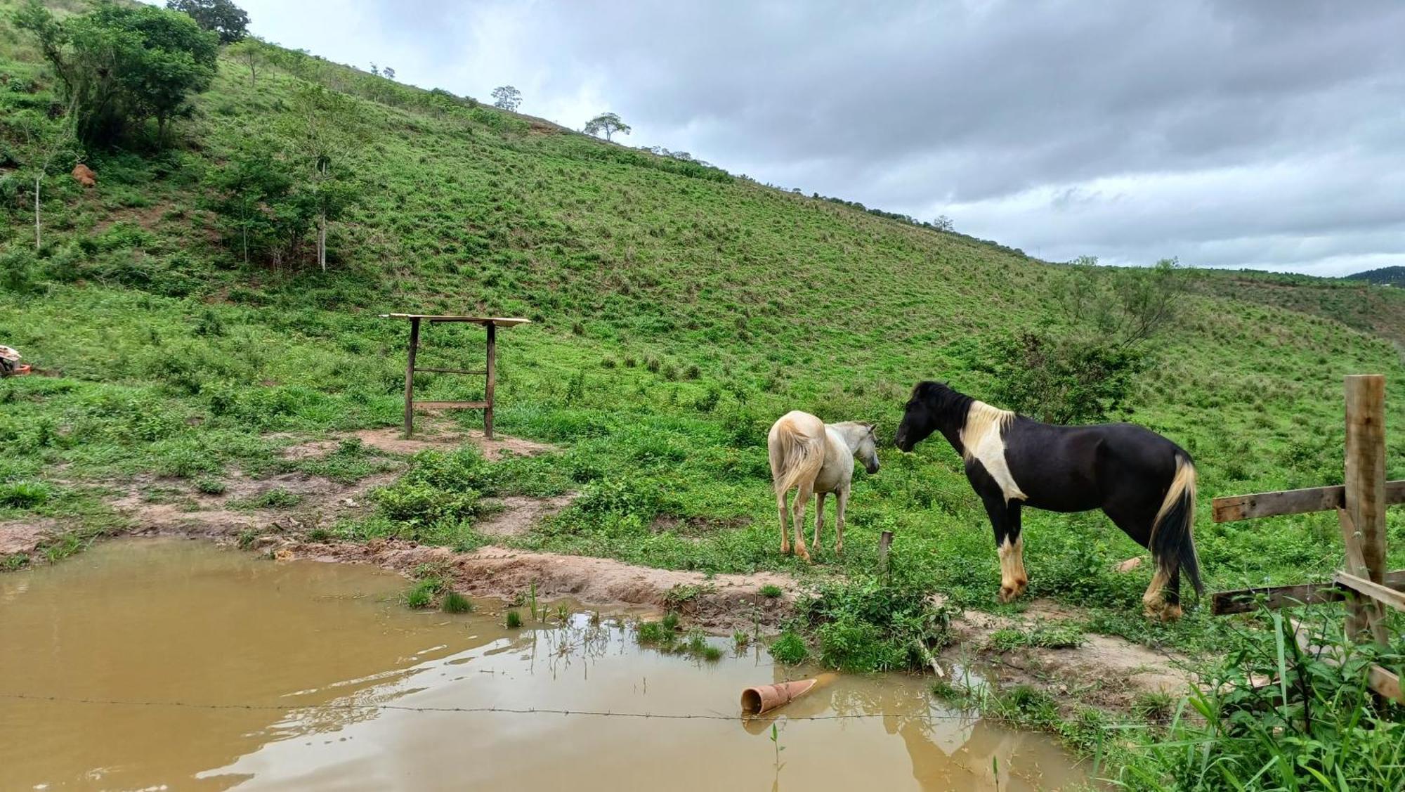 Sitio Reis Membeca Paraíba do Sul Εξωτερικό φωτογραφία