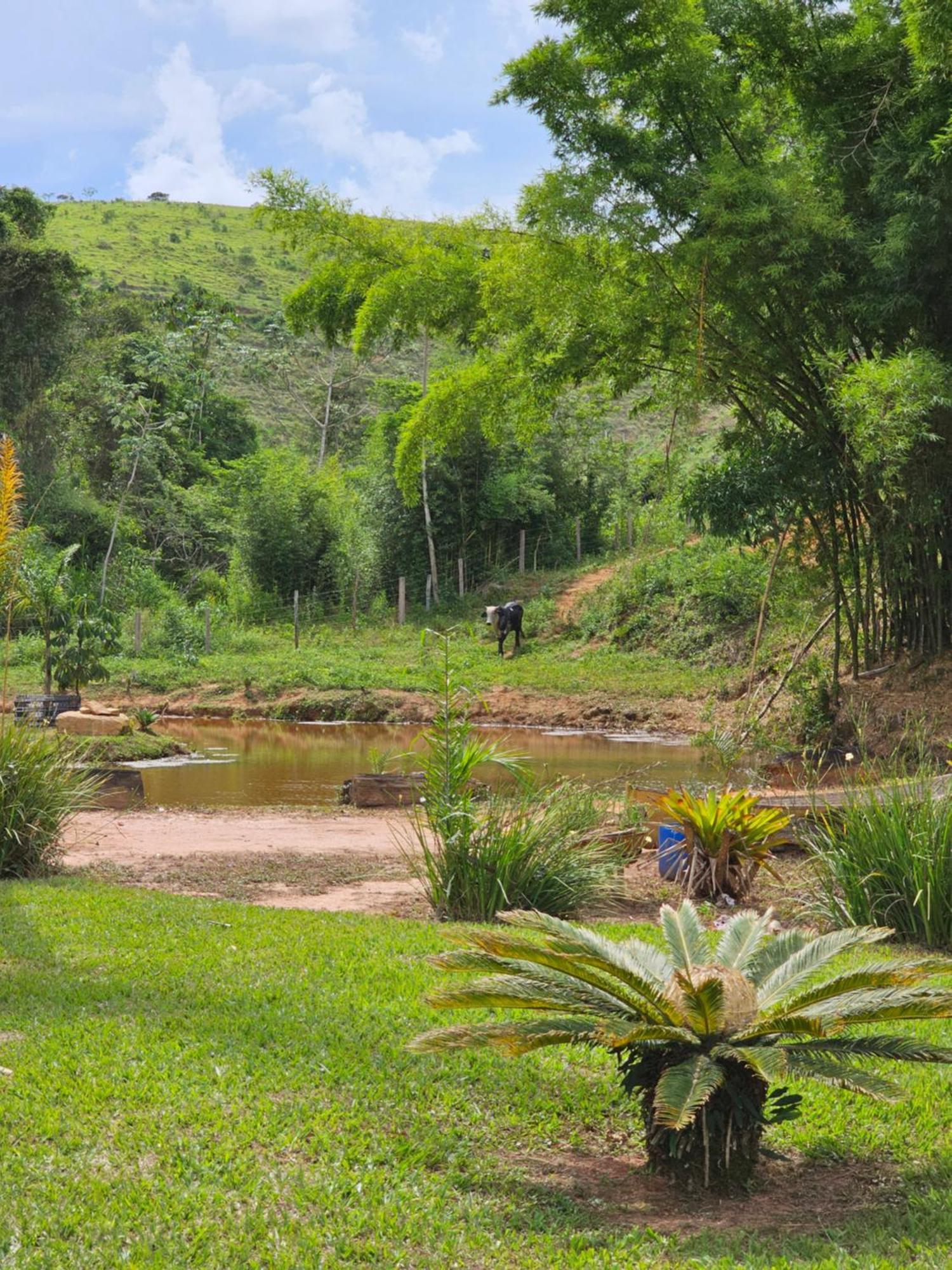 Sitio Reis Membeca Paraíba do Sul Εξωτερικό φωτογραφία
